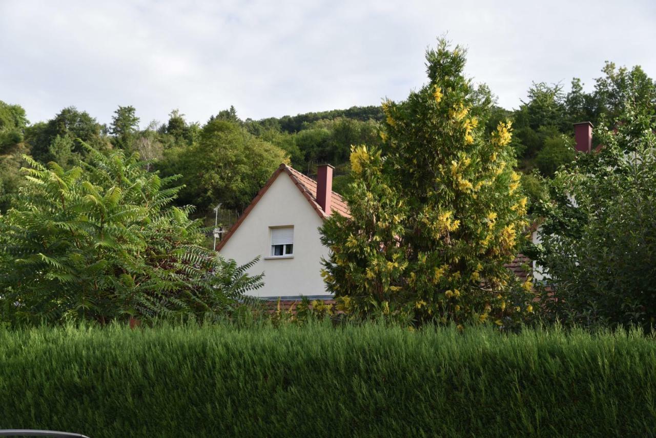 Le Cerisier Kaysersberg-Vignoble Exterior foto
